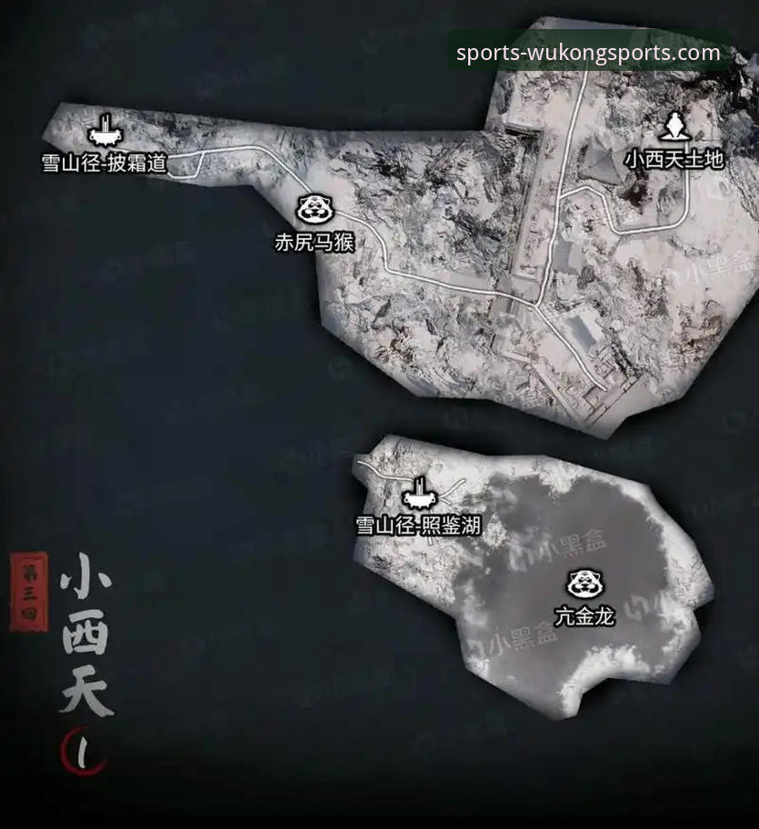 悟空体育平台手机版安卓安装与2026新版全面评测：新手友好指南